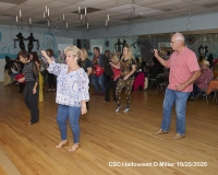 David Miller Photographer