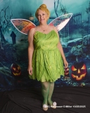 David Miller Photographer